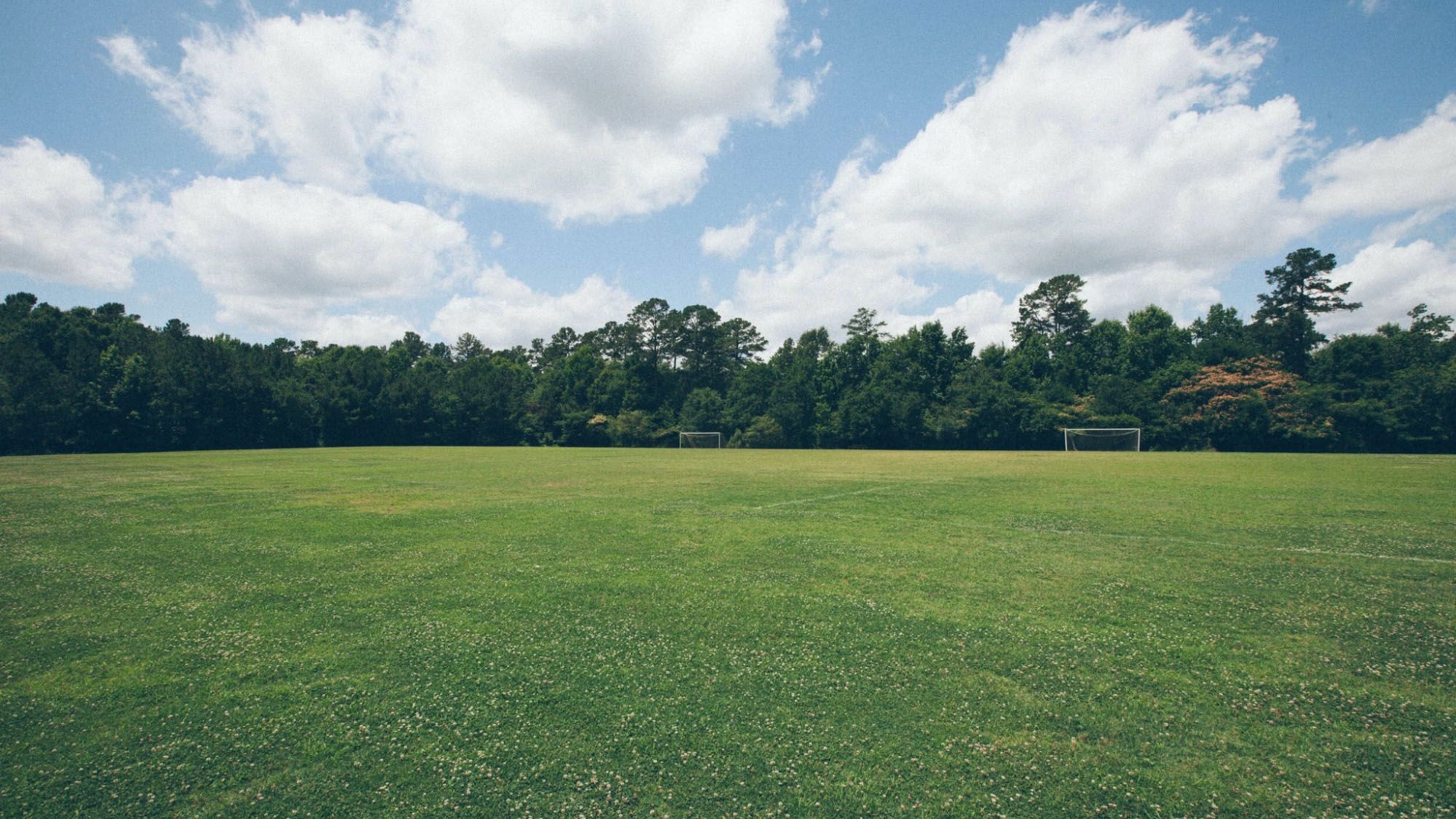 Photo of residential lawn 