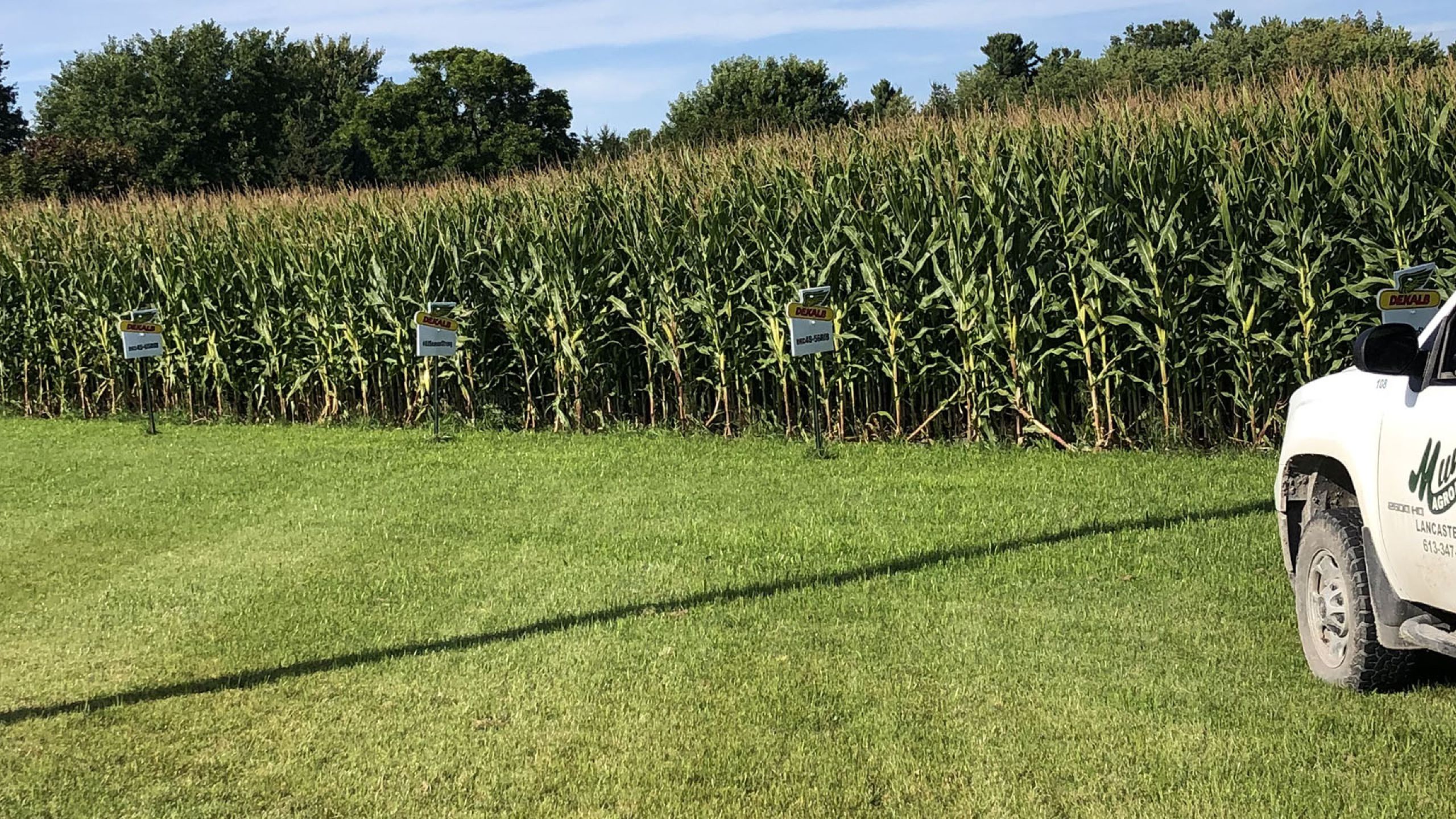 Munro Agromart cornfield and truck