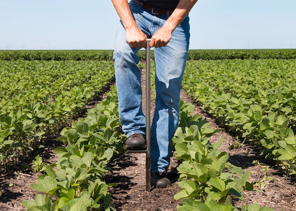 Munro Agromart soil sampling