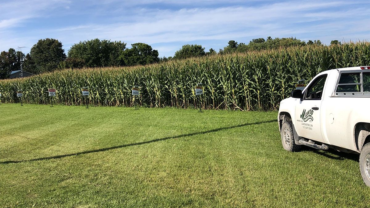 Munro Agromart cornfield and truck