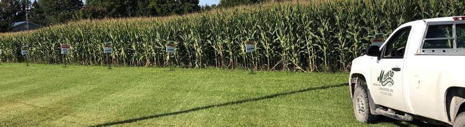 Munro Agromart cornfield and truck