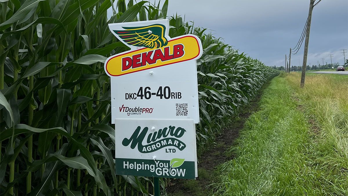 Munro Agromart Dekalb sign by crop