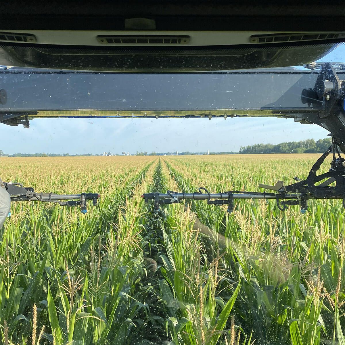 Munro Agromart cornfield drivers view on equipment