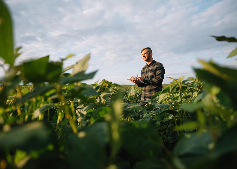 Munro Agromart support staff in the field